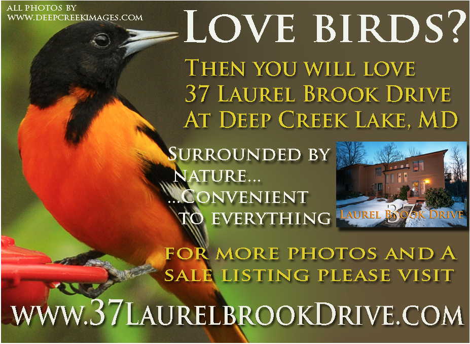 To Visit the home page for 37 Laurel Brook  please click on the Oriole!